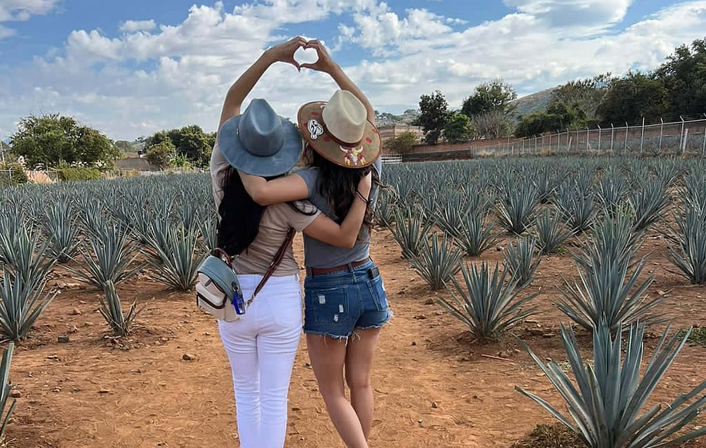 Agave Tours